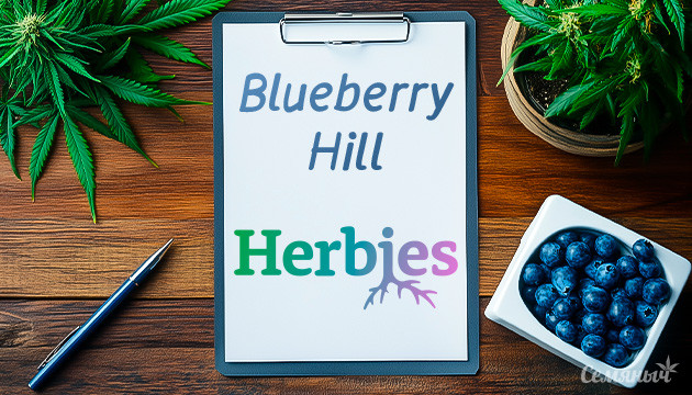 Гроурепорт сорта Blueberry Hill fem от Herbies Seeds