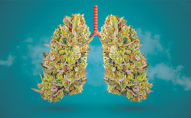 Легочные эффекты конопли после операций
