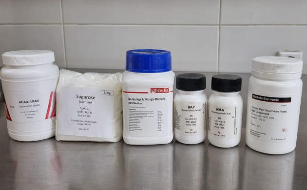 Компоненты питательной среды для культуры тканей