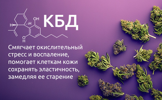 КБД против старения кожи