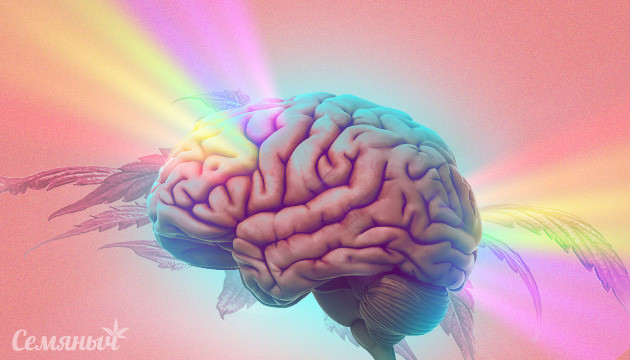 Воздействие конопли на мозг человека