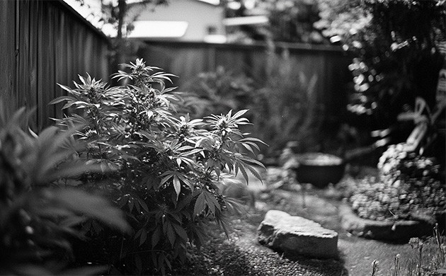 Воспоминания о первых опытах Хорхе Сервантеса