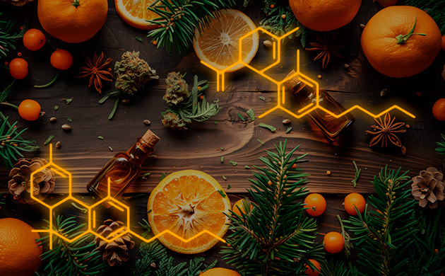 ТГК и КБД: лучше вместе