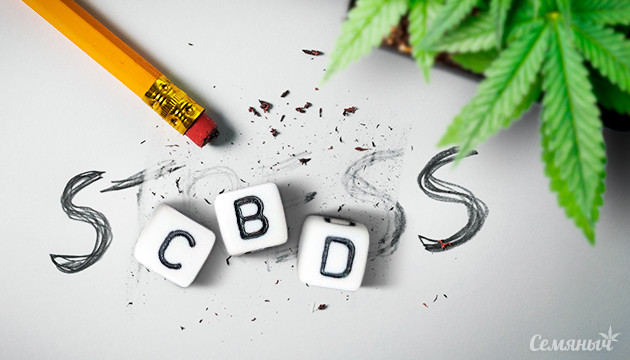 КБД против хронического стресса