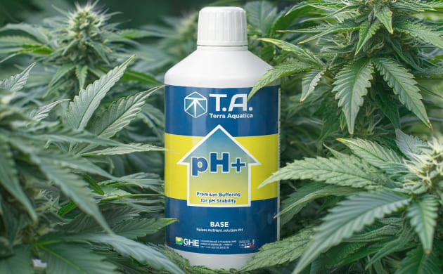 Бренд Terra Aquatica