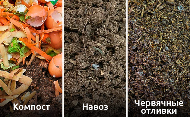 Почвенные добавки для автоцветущих сортов канабиса