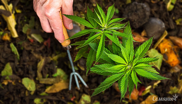 Тонкости органического аутдора