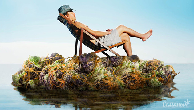 Помощь от стресса