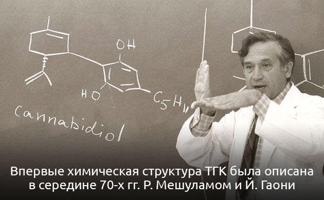 Тетрагидроканнабинол (ТГК) – главный психоактивный компонент каннабиса