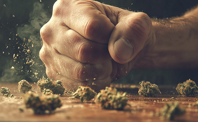 Не бойтесь сомневаться в советах