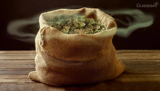 Что такое ферментация шишек