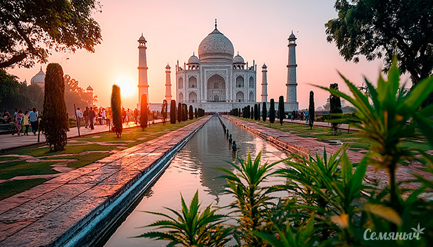 Родина индичной конопли