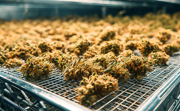 Сушка на решётках/подносах/поддонах