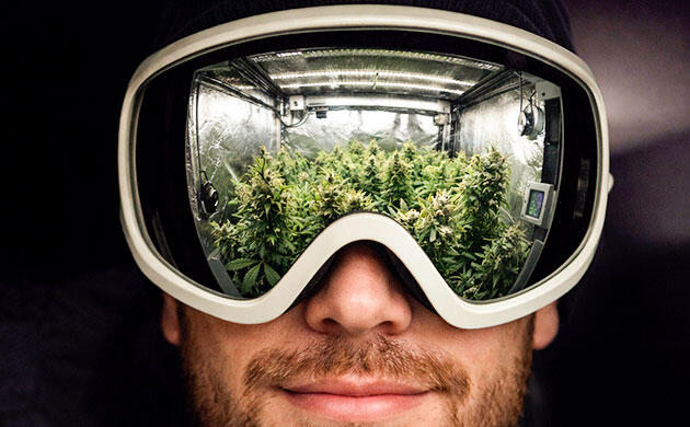 Работа в гроутенте в очках