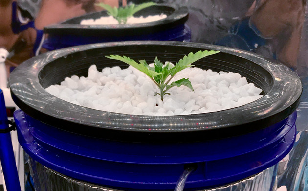 Добавление перлита в горшок