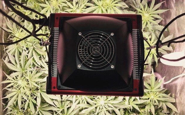 Организация проводов в системе выращивания