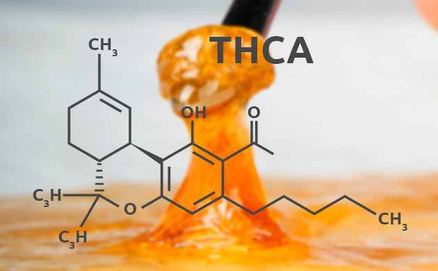 Терпеновый соус - что же это?