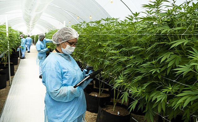 Работники сидбанка