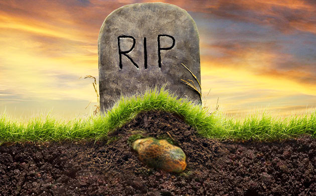 Смерть конопляного семени