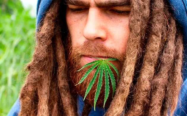 Роль марихуаны в растафарианстве