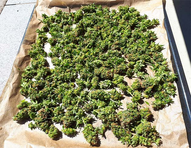 Переход к промывке: Euforia X