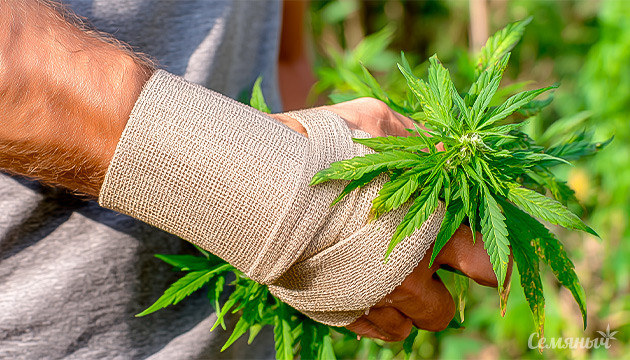 Лечение болей с помощью КБД