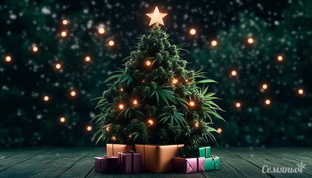 Акция Новый год 2025