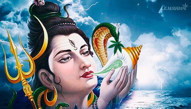 Шива и бханг