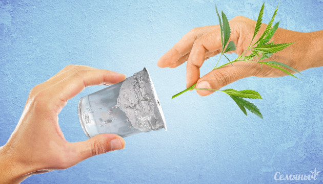 Питательный гель для клонов