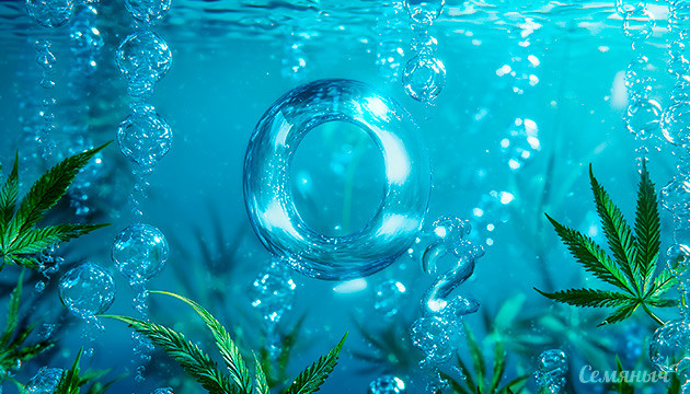 Обязательный элемент успешного гидропонного гровинга