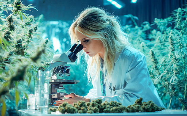 Сложности точного анализа терпенов