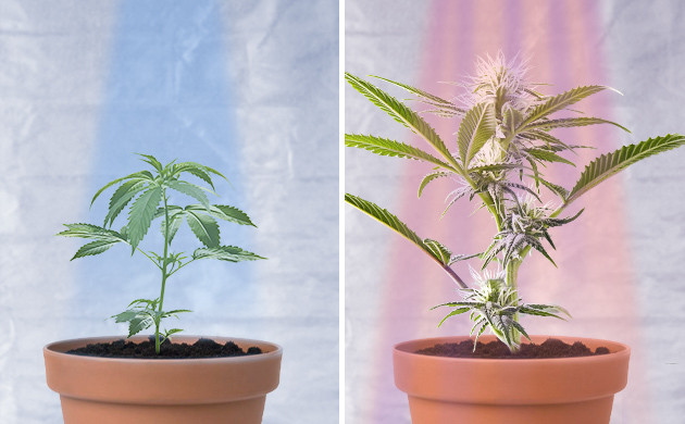 Холодное и теплое освещение