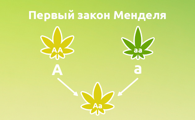 Закон доминирования