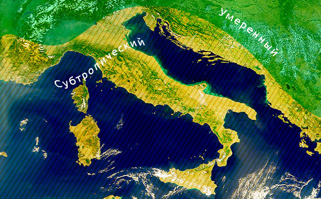 Законопроект о легализации марихуаны в Италии