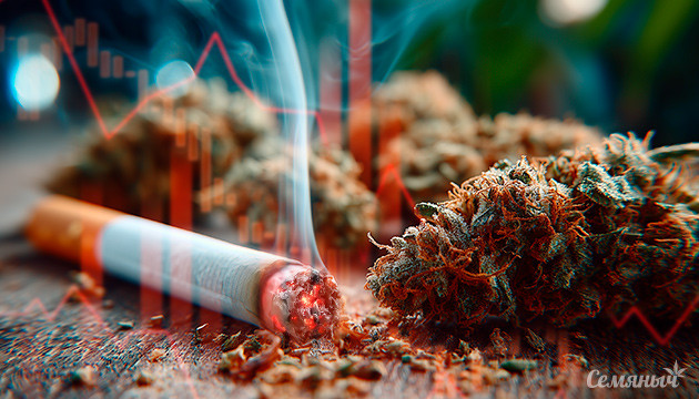 Влияние легализации на рынок веществ