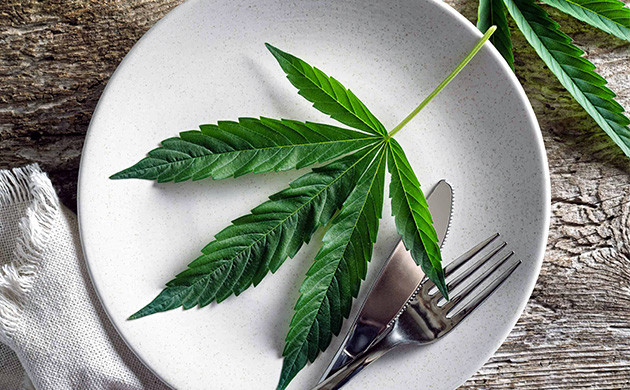 Лист конопли на тарелке
