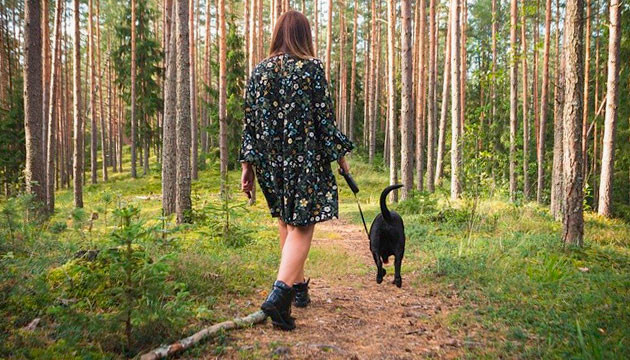 Прогулка с собакой к рассаде конопли