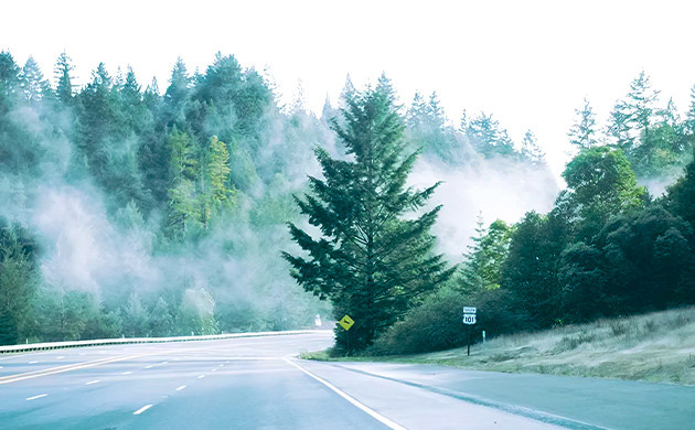 День 14. Отъезд