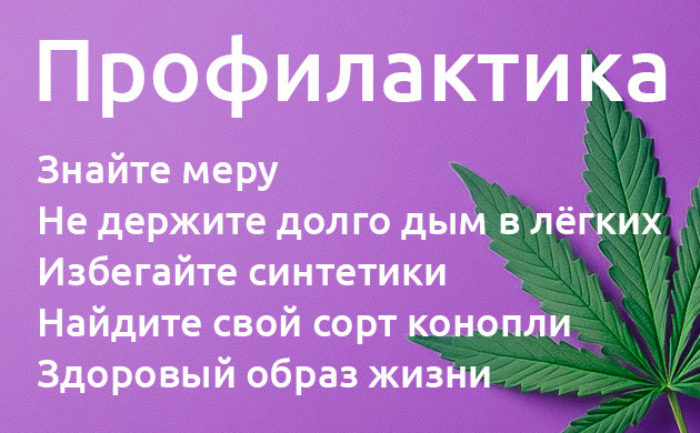 Профилактика конопляного похмелья