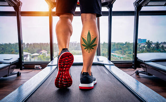 Как ускорить выведение ТГК и его метаболитов