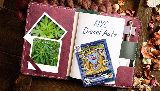 NYC Diesel Auto NYC Diesel Auto