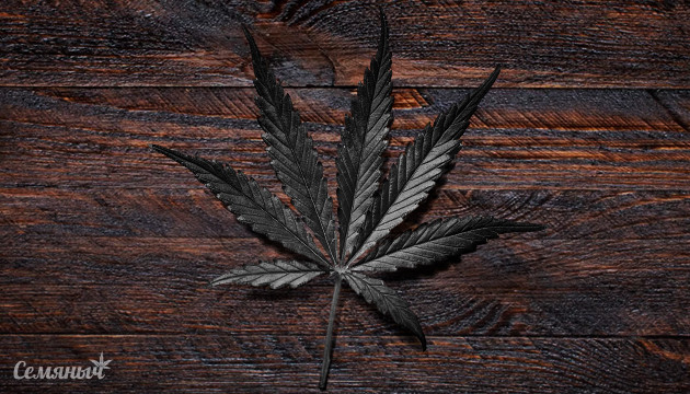Черные сорта марихуаны