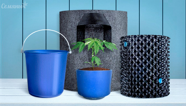 Выбор горшка для выращивания конопли