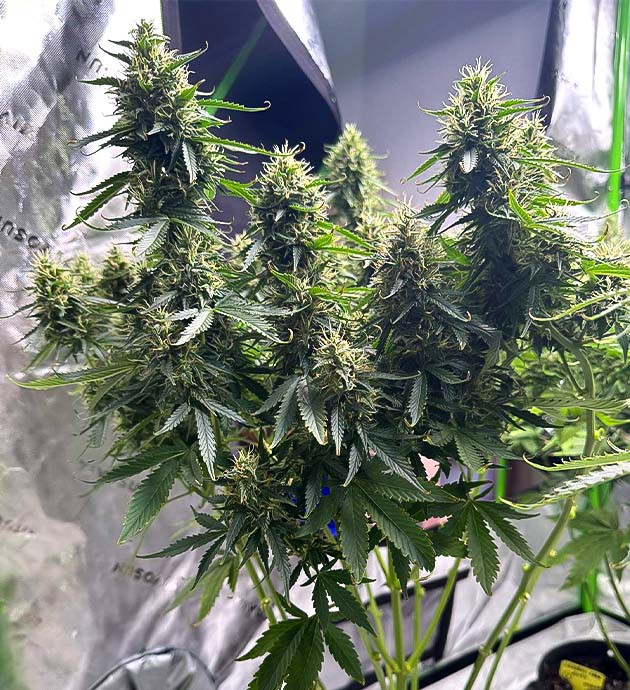 Проблемы с освещением