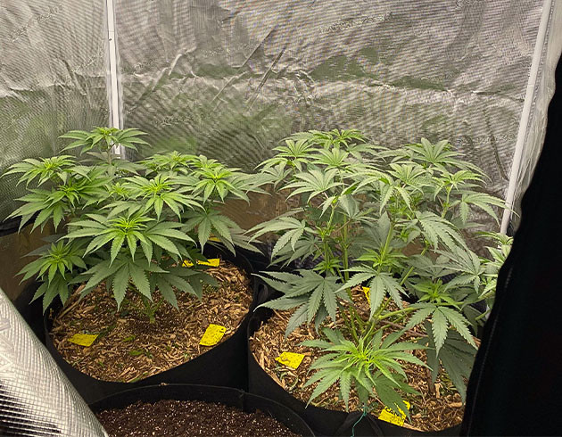 Новый бокс и свет