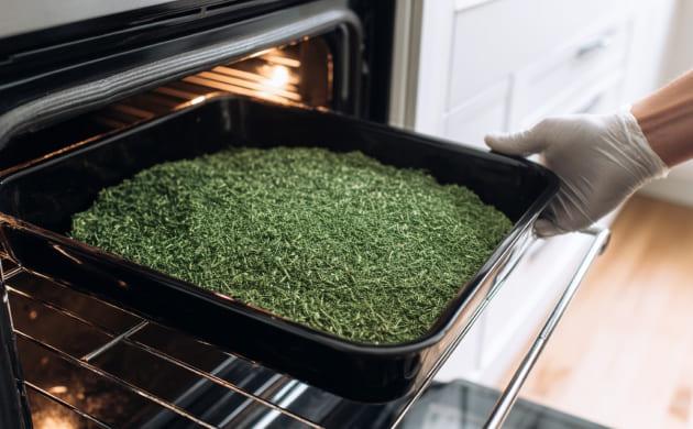 Декарбоксилирование каннабиса