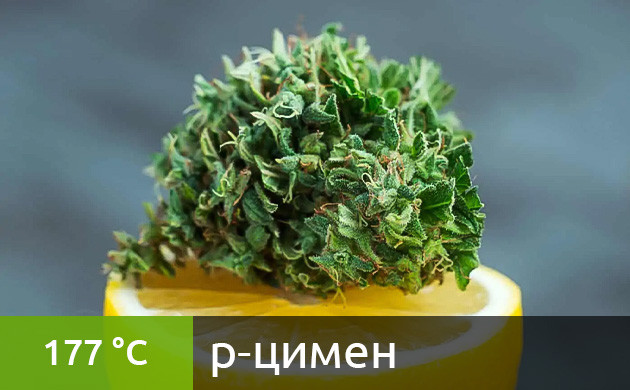 Оптимальная температура для вейпинга p-цимена (177 °C)