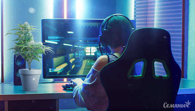 Компьютерные игры и конопли