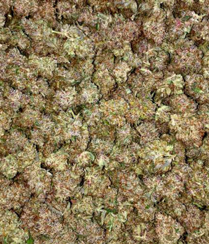 Сухие шишки