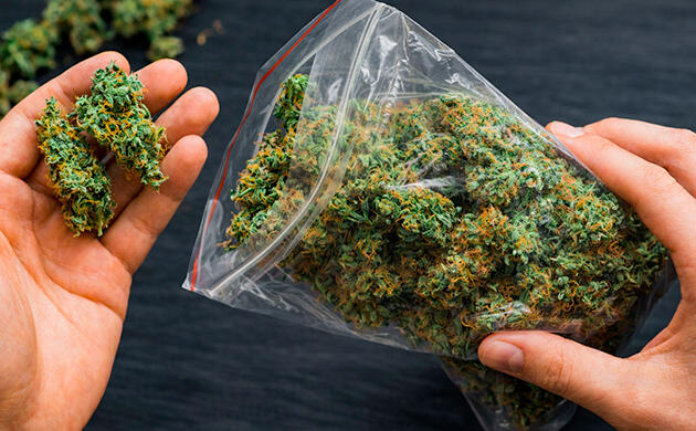 Частые вопросы о хранении каннабиса в пластиковых пакетах